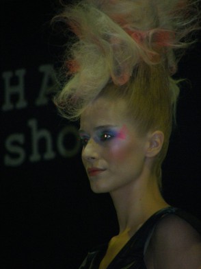 ModeleModeCoiffure014