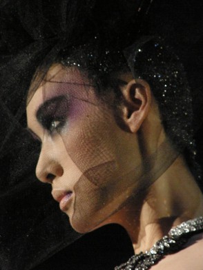 ModeleModeCoiffure017